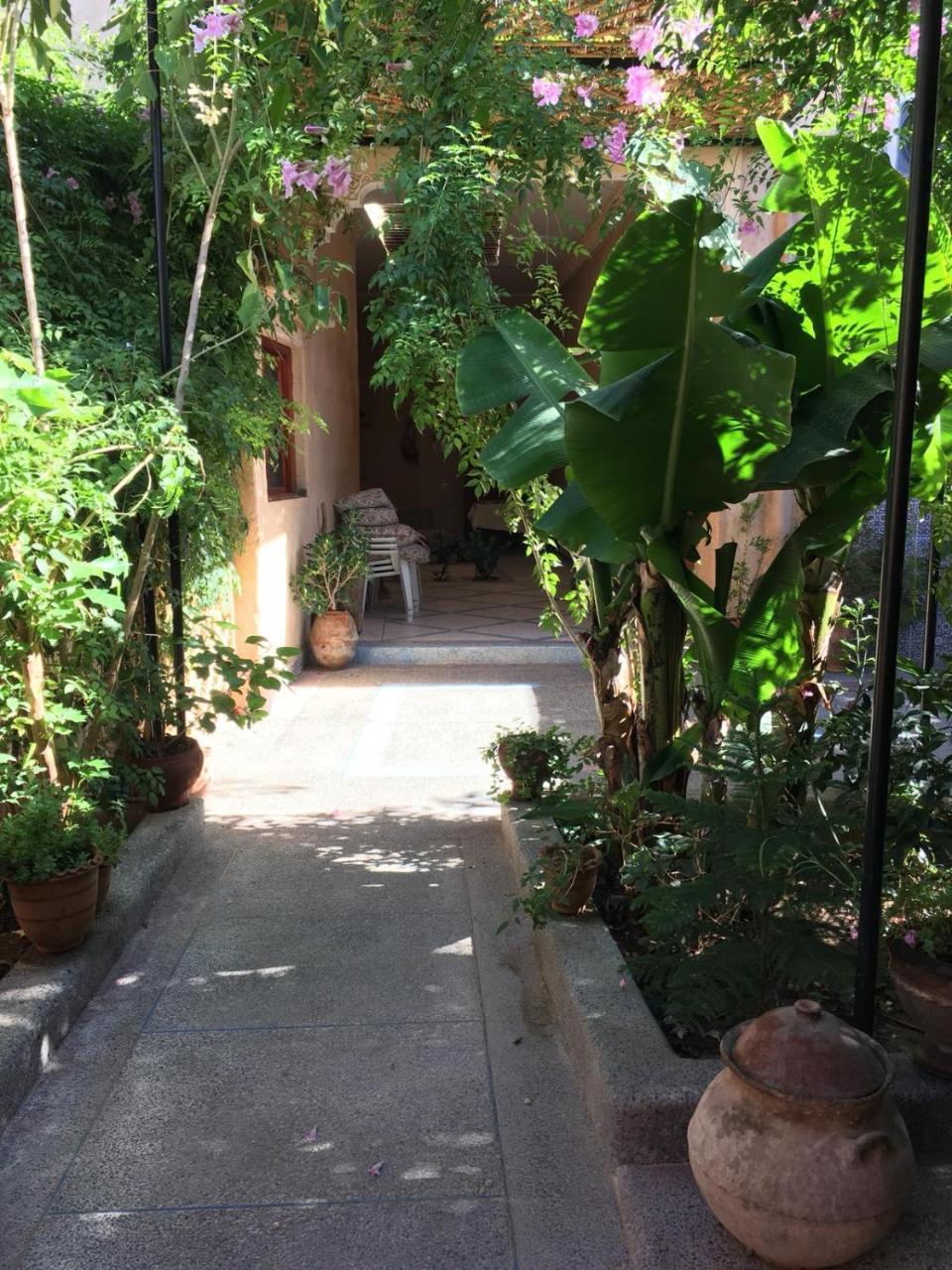 Oasis De Tiout Apartment Exterior photo